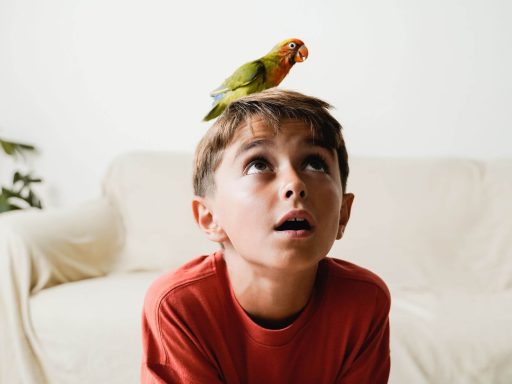 Kind hat Papagei auf dem Kopf