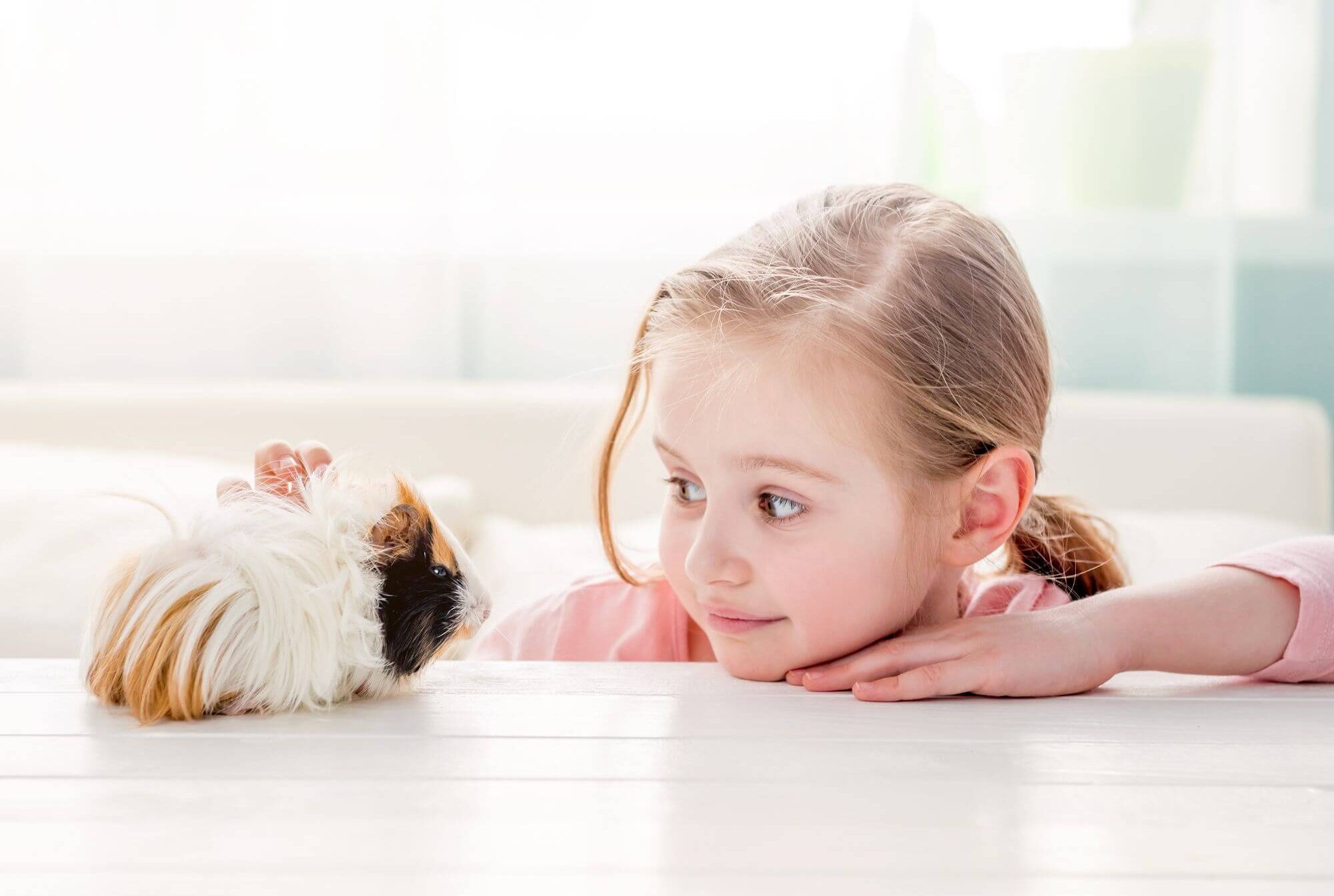 Kind mit Meerschweinchen